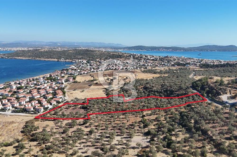 Ayvalık Cunda Adasın' da Arazi