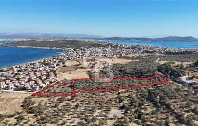 Ayvalık Cunda Adasın' da Arazi