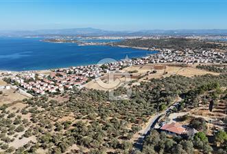 Ayvalık Cunda Adasın' da Arazi
