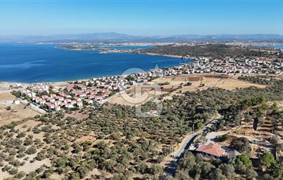 Ayvalık Cunda Adasın' da Arazi