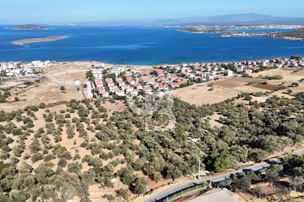 Ayvalık Cunda Adasın' da Arazi