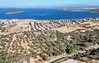 Ayvalık Cunda Adasın' da Arazi