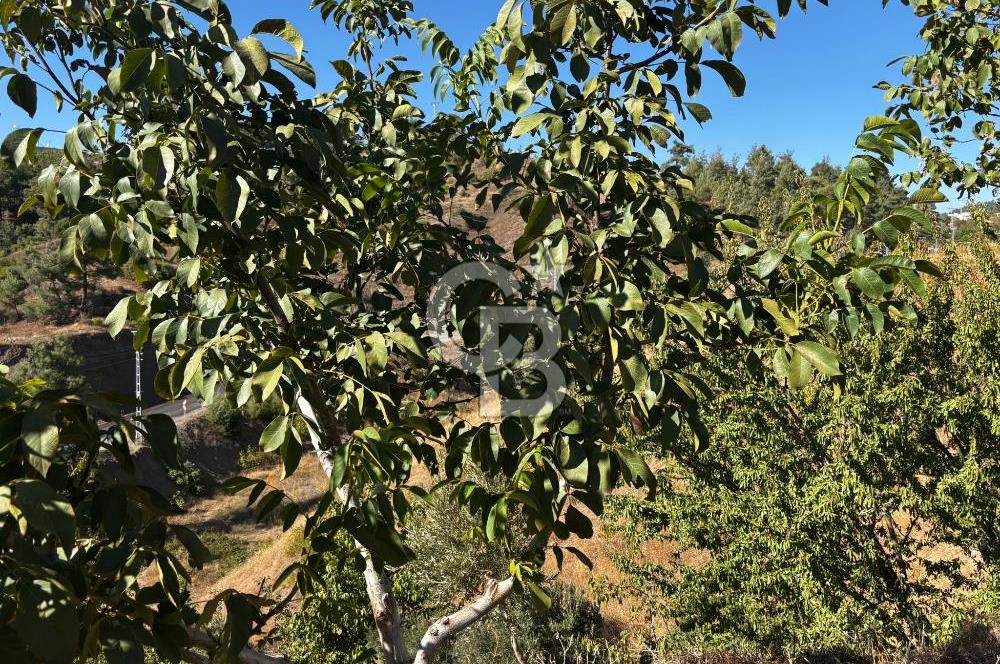 CB'DEN TEK TAPU (2.538 m2) DOĞA MANZARALI SATILIK BAHÇE