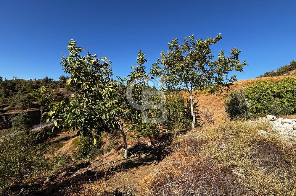 CB'DEN TEK TAPU (2.538 m2) DOĞA MANZARALI SATILIK BAHÇE