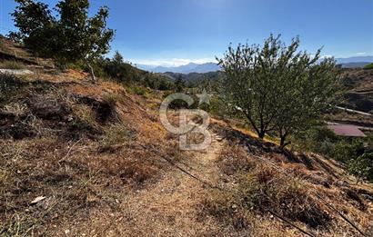 CB'DEN TEK TAPU (2.538 m2) DOĞA MANZARALI SATILIK BAHÇE