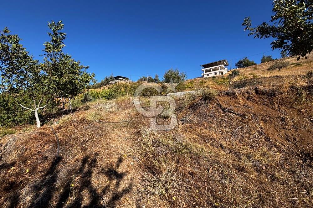 CB'DEN TEK TAPU (2.538 m2) DOĞA MANZARALI SATILIK BAHÇE