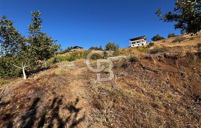 CB'DEN TEK TAPU (2.538 m2) DOĞA MANZARALI SATILIK BAHÇE