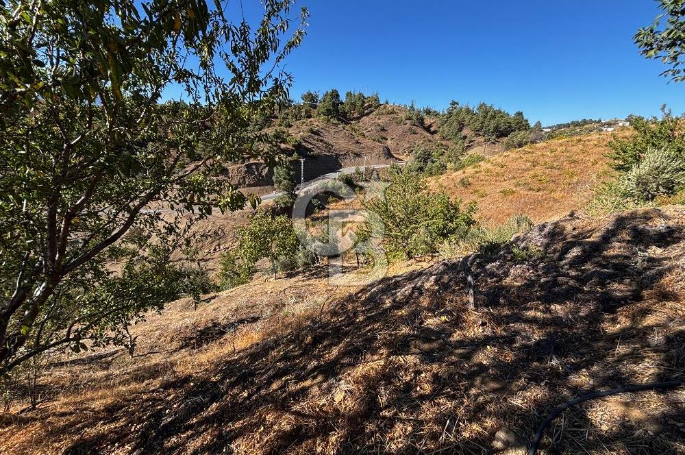 CB'DEN TEK TAPU (2.538 m2) DOĞA MANZARALI SATILIK BAHÇE
