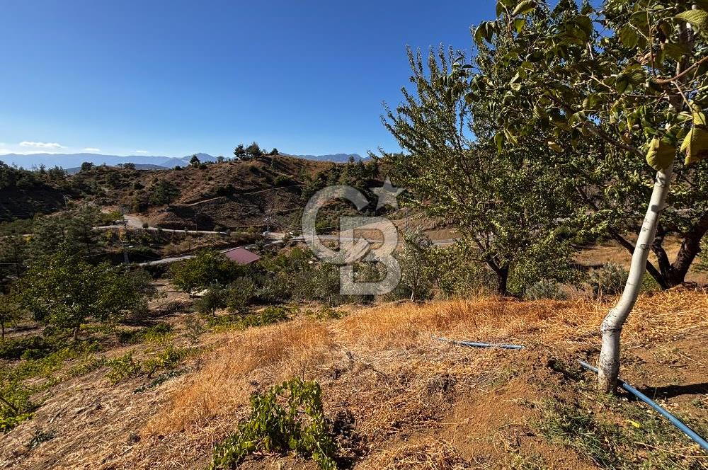 CB'DEN TEK TAPU (2.538 m2) DOĞA MANZARALI SATILIK BAHÇE
