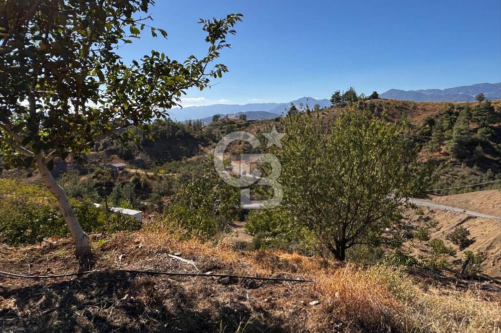 CB'DEN TEK TAPU (2.538 m2) DOĞA MANZARALI SATILIK BAHÇE
