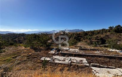 CB'DEN TEK TAPU (2.538 m2) DOĞA MANZARALI SATILIK BAHÇE