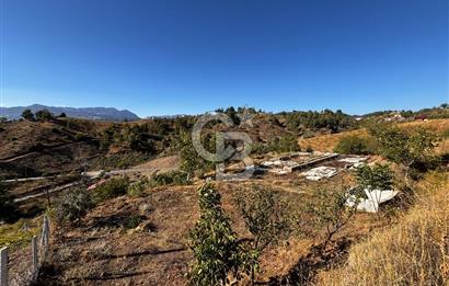 CB'DEN TEK TAPU (2.538 m2) DOĞA MANZARALI SATILIK BAHÇE