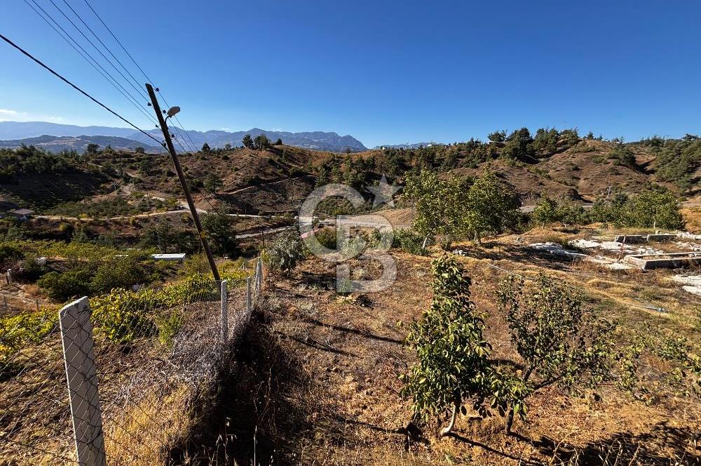 CB'DEN TEK TAPU (2.538 m2) DOĞA MANZARALI SATILIK BAHÇE