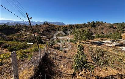 CB'DEN TEK TAPU (2.538 m2) DOĞA MANZARALI SATILIK BAHÇE