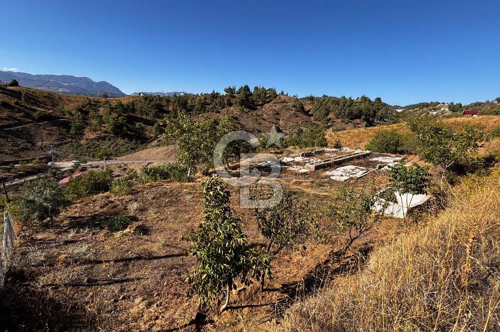 CB'DEN TEK TAPU (2.538 m2) DOĞA MANZARALI SATILIK BAHÇE