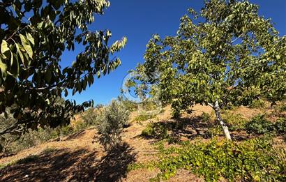 CB'DEN TEK TAPU (2.538 m2) DOĞA MANZARALI SATILIK BAHÇE