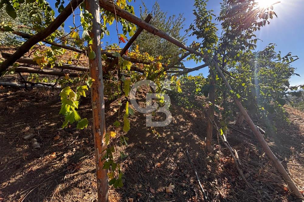 CB'DEN TEK TAPU (2.538 m2) DOĞA MANZARALI SATILIK BAHÇE