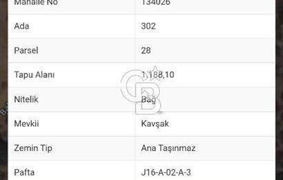 Çanakkale, Ayvacık,Babakalede Eşsiz Fırsat 