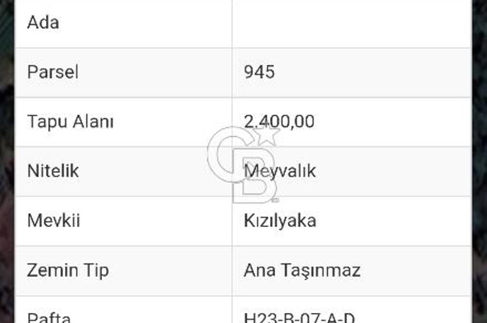 İZNİK DEREKÖY’DE CABERNET BAĞI SATILIK 