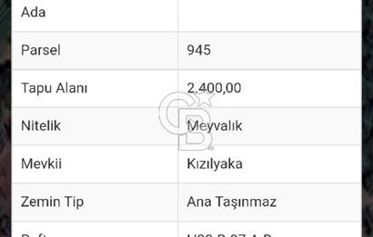 İZNİK DEREKÖY’DE CABERNET BAĞI SATILIK 
