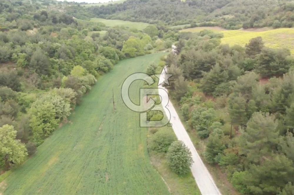 ÇANAKKALE MERKEZ MUSAKÖYDE 1450 M² TAPULU SATILIK PARSEL HİSSESİ