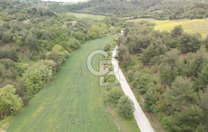 ÇANAKKALE MERKEZ MUSAKÖYDE 1450 M² TAPULU SATILIK PARSEL HİSSESİ
