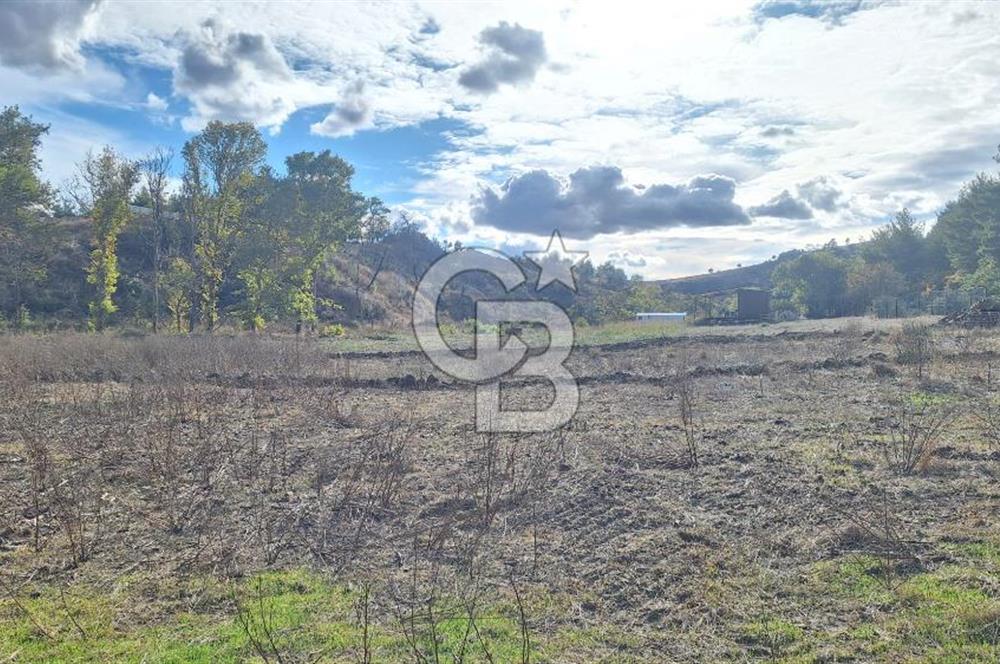 ÇANAKKALE MERKEZ MUSAKÖYDE 1450 M² TAPULU SATILIK PARSEL HİSSESİ