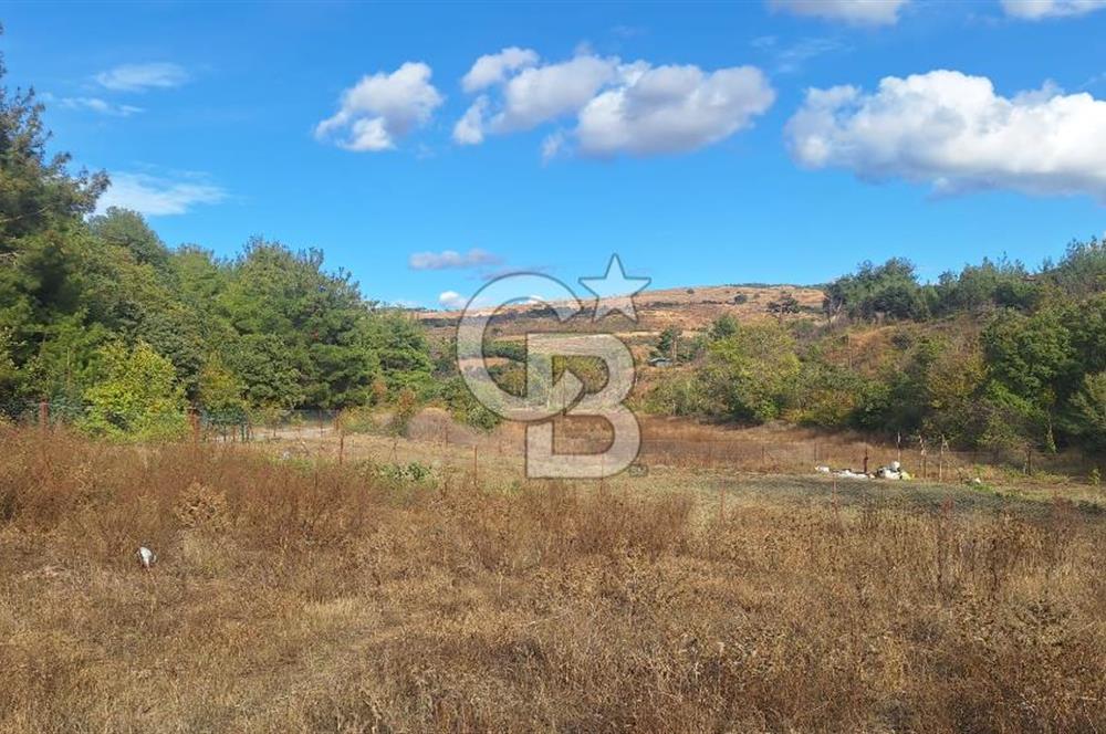 ÇANAKKALE MERKEZ MUSAKÖYDE 1450 M² TAPULU SATILIK PARSEL HİSSESİ