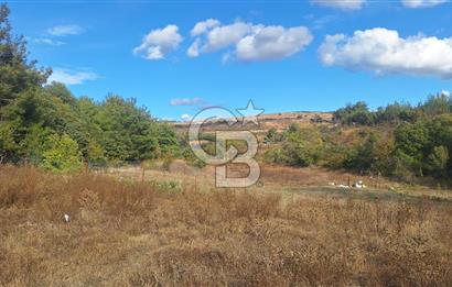 ÇANAKKALE MERKEZ MUSAKÖYDE 1450 M² TAPULU SATILIK PARSEL HİSSESİ