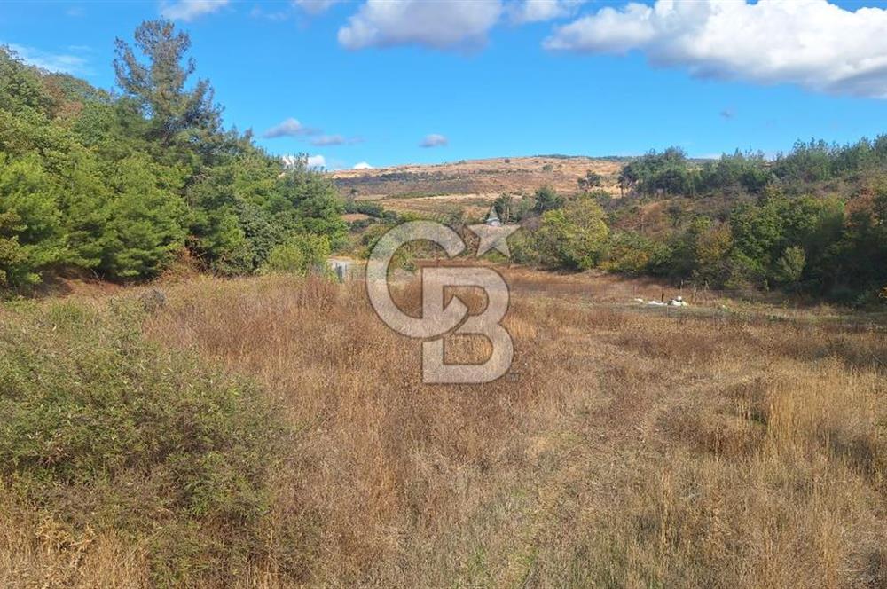 ÇANAKKALE MERKEZ MUSAKÖYDE 1450 M² TAPULU SATILIK PARSEL HİSSESİ