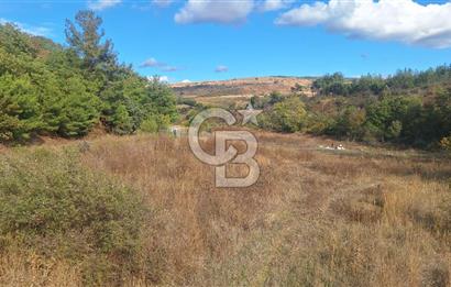 ÇANAKKALE MERKEZ MUSAKÖYDE 1450 M² TAPULU SATILIK PARSEL HİSSESİ