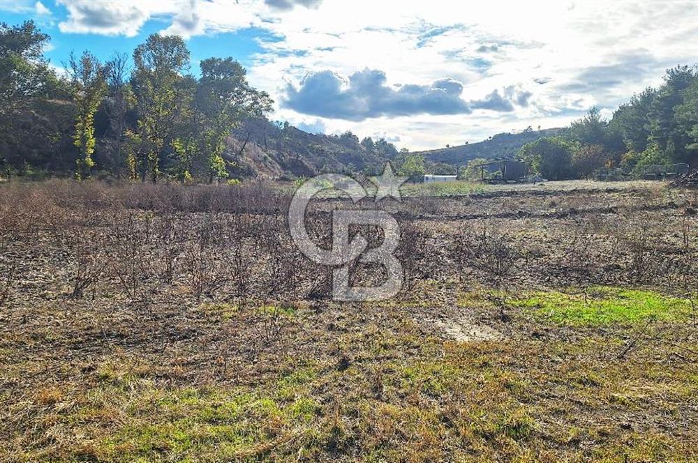 ÇANAKKALE MERKEZ MUSAKÖYDE 1450 M² TAPULU SATILIK PARSEL HİSSESİ