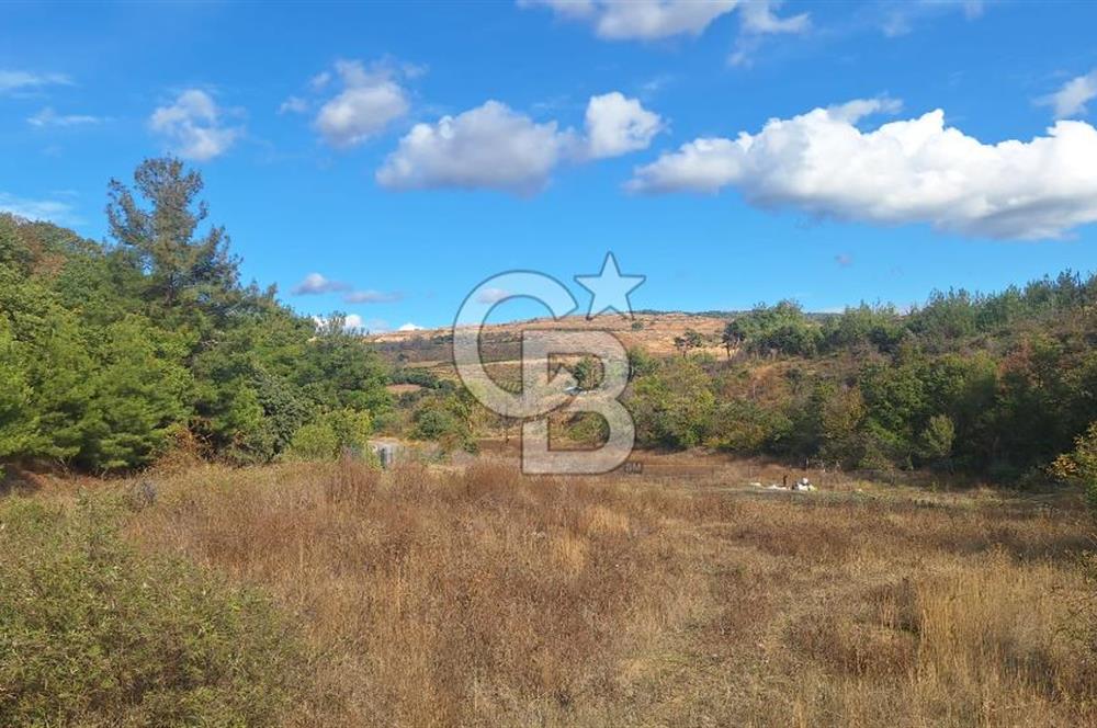ÇANAKKALE MERKEZ MUSAKÖYDE 1450 M² TAPULU SATILIK PARSEL HİSSESİ