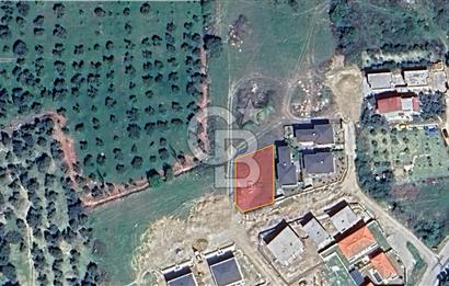 Aydın Kuşadası Davutlar 501 m2 Dubleks Villa İmarlı Satılık Arsa