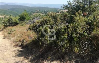 SATILIK ÇANAKKALE ÇAN BOSTANDERE KÖYÜ
