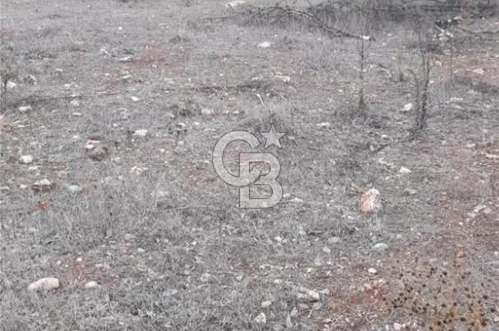 Durusnbey osbye 10 dk mesafede duz yatirimlik firsat arazi
