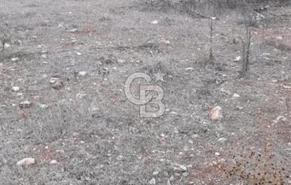 Durusnbey osbye 10 dk mesafede duz yatirimlik firsat arazi