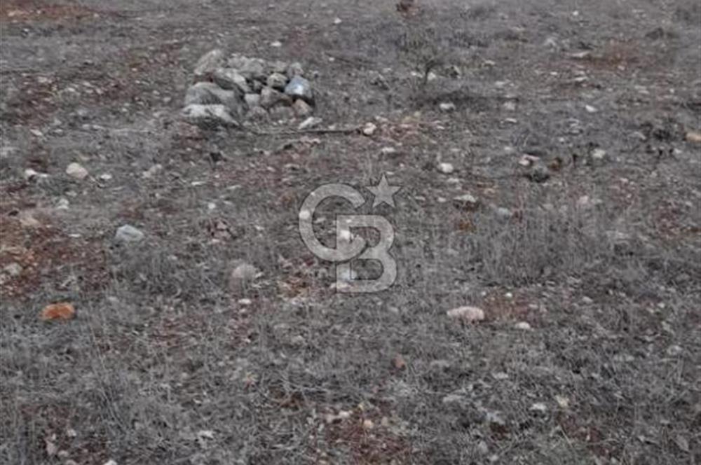 Durusnbey osbye 10 dk mesafede duz yatirimlik firsat arazi
