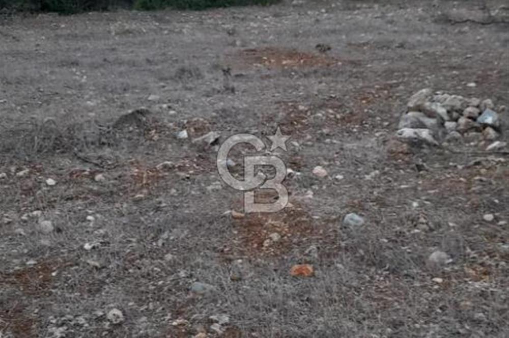 Durusnbey osbye 10 dk mesafede duz yatirimlik firsat arazi
