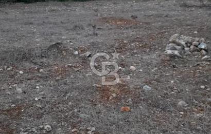 Durusnbey osbye 10 dk mesafede duz yatirimlik firsat arazi