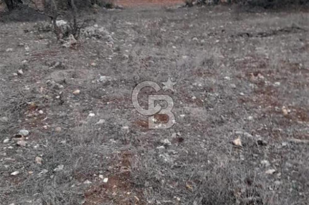 Durusnbey osbye 10 dk mesafede duz yatirimlik firsat arazi