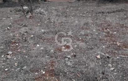 Durusnbey osbye 10 dk mesafede duz yatirimlik firsat arazi