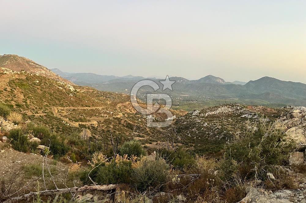 Muğla Köyceğiz Pınar da Yatırım Fırsatı
