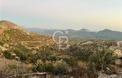Muğla Köyceğiz Pınar da Yatırım Fırsatı