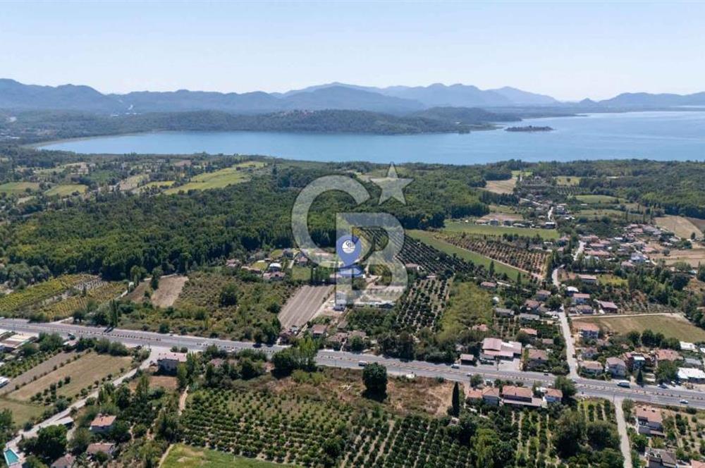 Muğla Köyceğiz Yangı da Yatırım Fırsatı