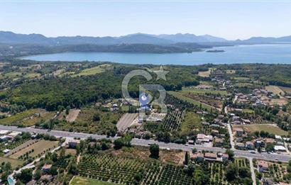 Muğla Köyceğiz Yangı da Yatırım Fırsatı