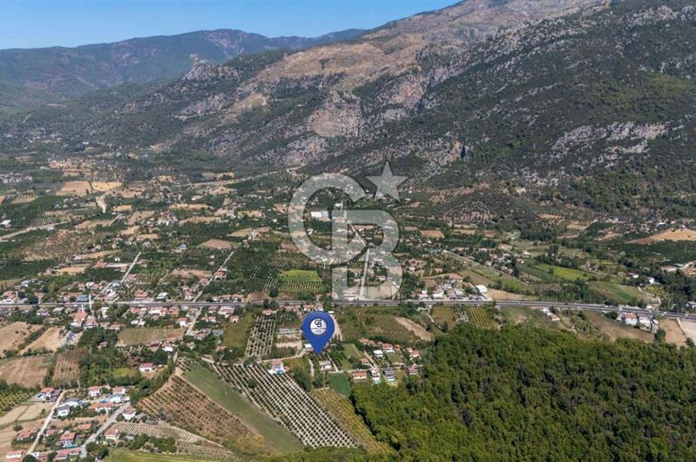 Muğla Köyceğiz Yangı da Yatırım Fırsatı