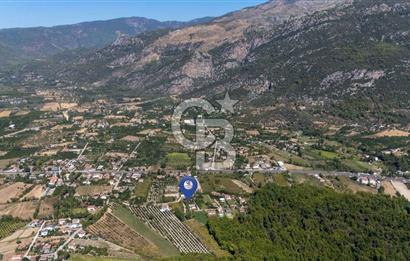 Muğla Köyceğiz Yangı da Yatırım Fırsatı