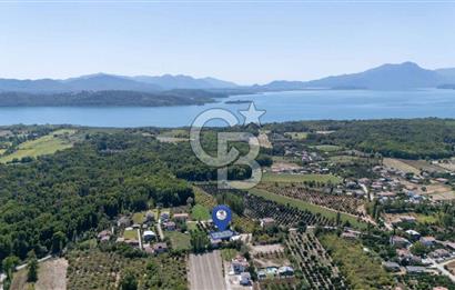 Muğla Köyceğiz Yangı da Yatırım Fırsatı