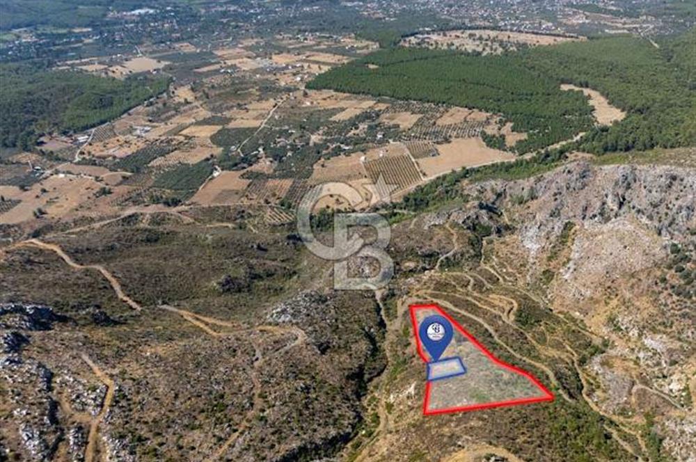 Muğla Köyceğiz Pınar da Yatırım Fırsatı